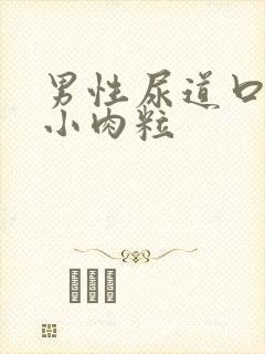 男性尿道口上的小肉粒