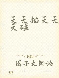 天天插天天操天天碰