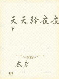 天天干夜夜操a v