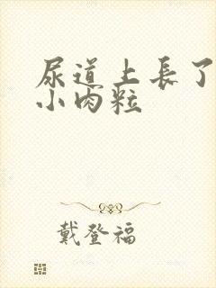 尿道上长了几个小肉粒封面