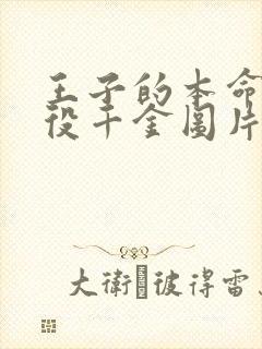 王子的本命是恶役千金图片