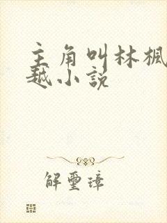 主角叫林枫的穿越小说