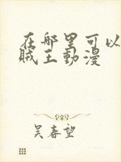 在哪里可以看海贼王动漫