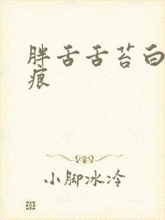 胖舌舌苔白腻齿痕封面