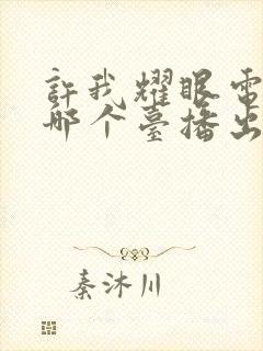 许我耀眼电视剧哪个台播出