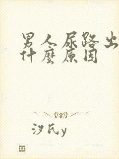 男人尿路出血是什么原因