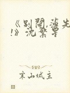 《别闹,薄先生!》沈繁星