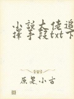 小说大佬追妻不择手段txt下载