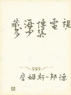 藏海传电视剧有多少集