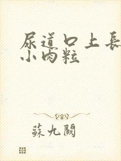 尿道口上长一圈小肉粒