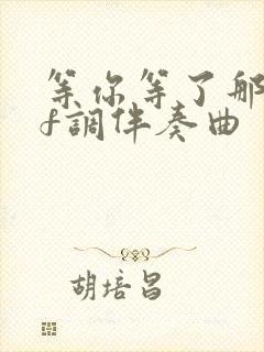 等你等了那么久f调伴奏曲