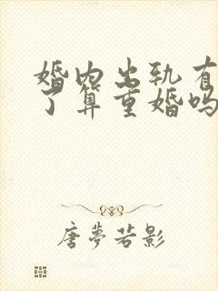 婚内出轨有孩子了算重婚吗封面