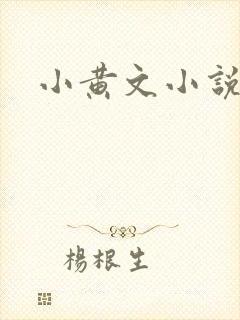 小黄文小说封面