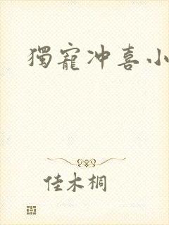 独宠冲喜小夫郎