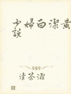 少妇白洁黄色小说