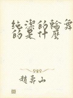 纯洁的轮舞曲讲的是什么