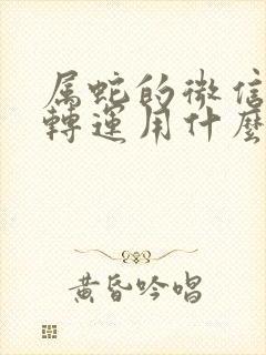 属蛇的微信头像转运用什么头像好