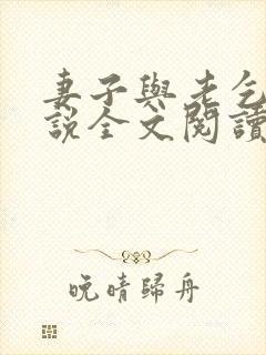 妻子与老乞丐小说全文阅读封面