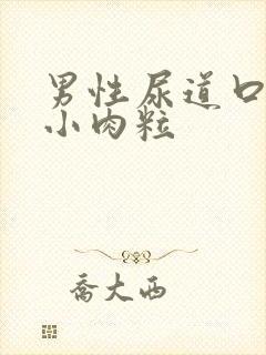 男性尿道口边有小肉粒