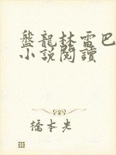 盘龙林雷巴鲁克小说阅读