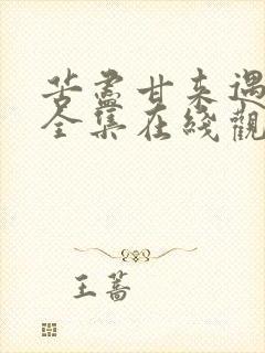 苦尽甘来遇见你全集在线观看免费高清