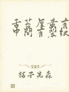 舌苔厚黄有齿痕中间有裂纹