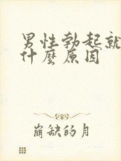 男性勃起就软是什么原因封面