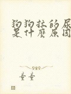 狗狗拉的尿红色是什么原因