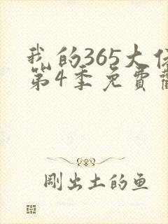 我的365大佬第4季免费观看高清