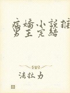 病娇小说推荐双男主完结