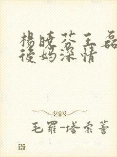 杨晓芬王磊小说后妈深情