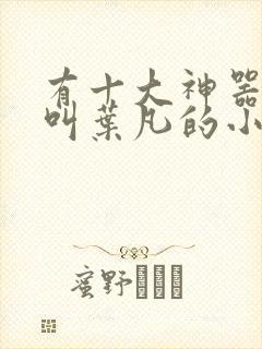 有十大神器主角叫叶凡的小说