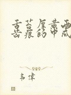 舌苔厚黄两侧有齿痕的中成药