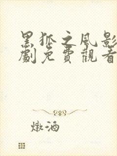 黑狐之风影电视剧免费观看全集封面