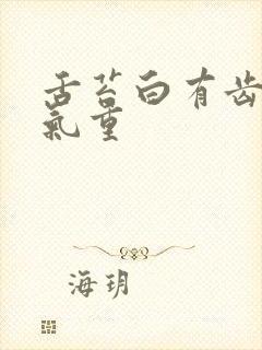 舌苔白有齿痕湿气重封面