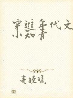 穿进年代文主攻小知青