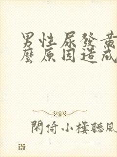 男性尿发黄是什么原因造成的