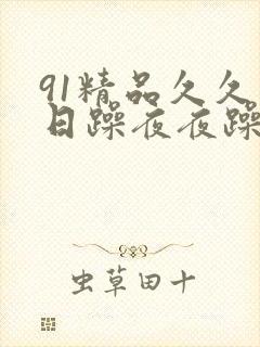 91精品久久日日躁夜夜躁