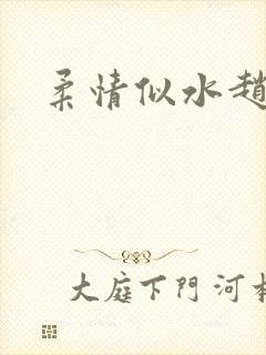 柔情似水赵雅儿