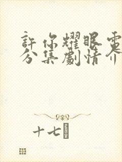 许你耀眼电视剧分集剧情介绍