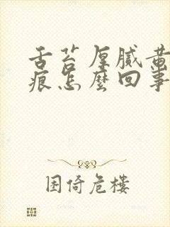 舌苔厚腻黄有齿痕怎么回事封面