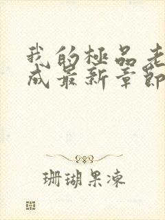 我的极品老师张成最新章节更新小说免费阅读