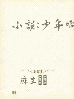 小说:少年啊宾封面