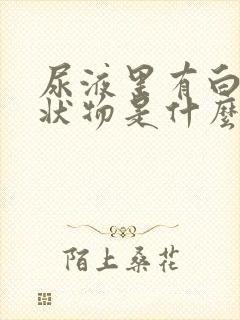 尿液里有白色絮状物是什么原因