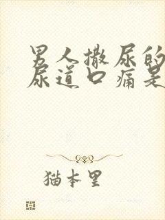 男人撒尿的时候尿道口痛是什么原因