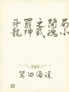 斗罗之开局签到龙神武魂小说封面