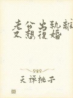 老公出轨离婚后又想复婚