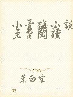 小青梅小说全文免费阅读