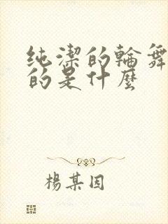 纯洁的轮舞曲讲的是什么