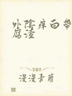 外阴痒白带呈豆腐渣